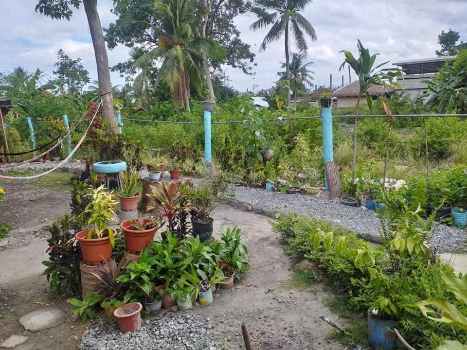 Bamboo Huts Apartment Moalboal Ngoại thất bức ảnh